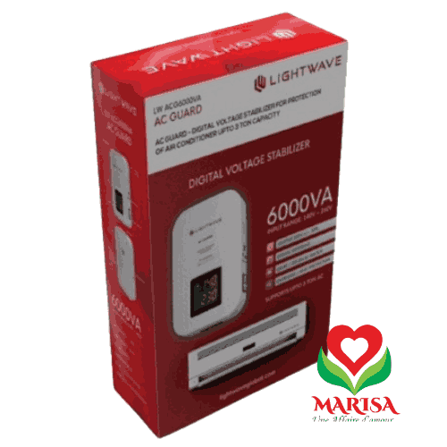 Régulateur LW ACG 6000VA